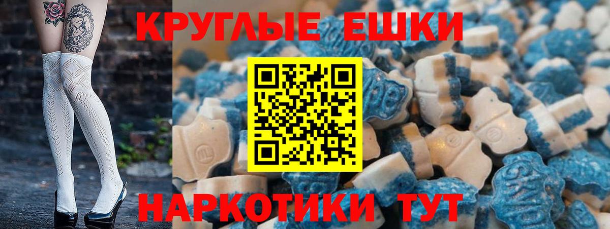 Ecstasy Philipp Plein  Экстази  ЭКСТАЗИ DUBAI  Новозыбков  Вход с VPN 