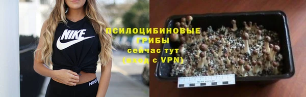 спиды Алексин
