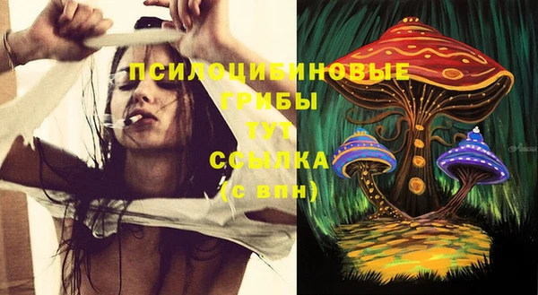 спиды Алексин