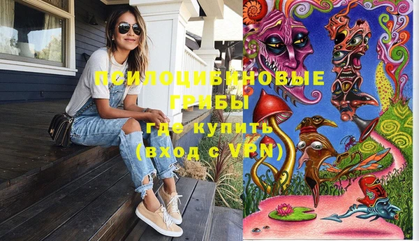 спиды Алексин