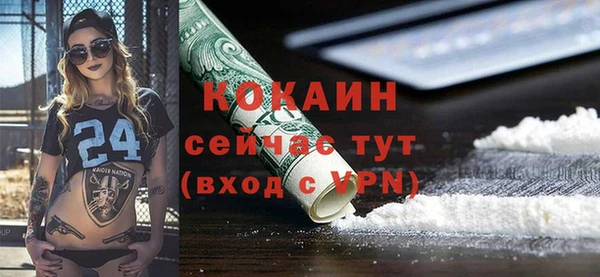 винт Алзамай