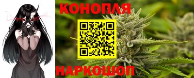 индика Канаш