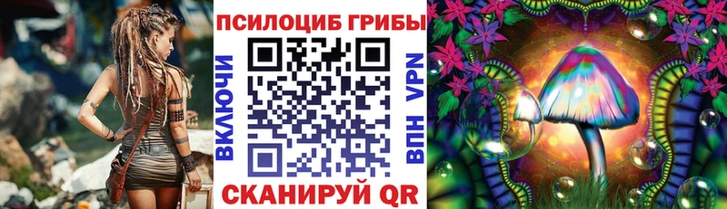 мега рабочий сайт  купить  цена  Новозыбков  Псилоцибиновые грибы Cubensis 