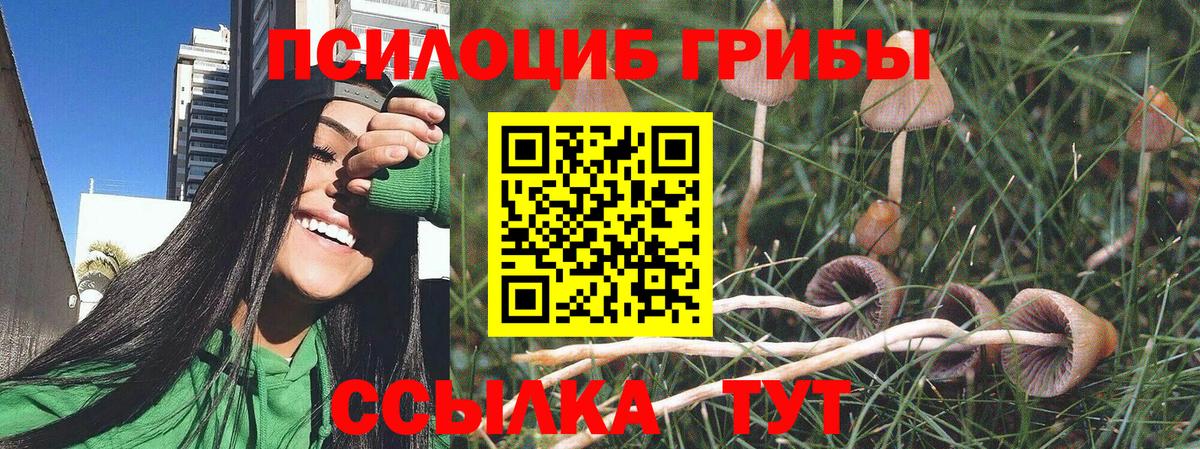 Новозыбков  Галлюциногенные грибы мухоморы  Вход с VPN 