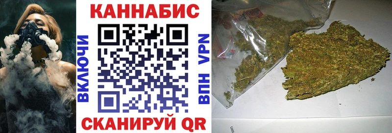 Каннабис план Новозыбков